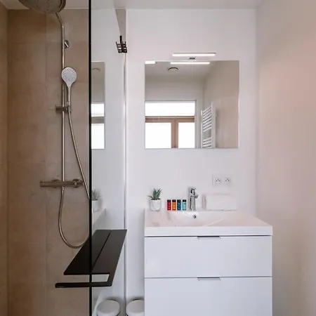 Luxurious Flat 
